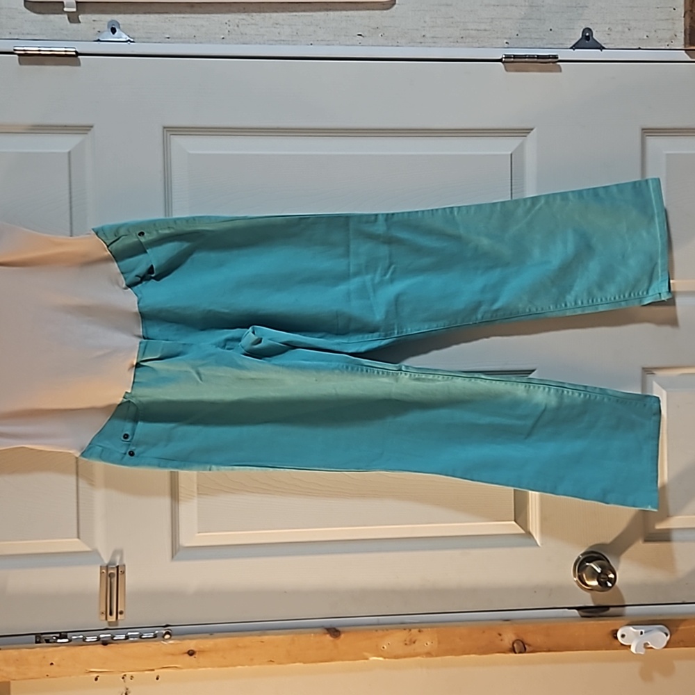 LIZ LANGE MATERNITY FULL PANEL JEANS: BLUE: NEW WITHOUT TAGS: SIZE 10